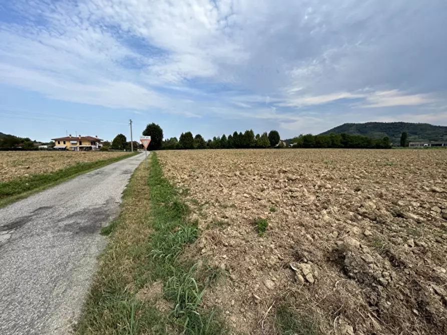 Immagine 14 di Terreno in vendita  in via Monte Venda a Torreglia