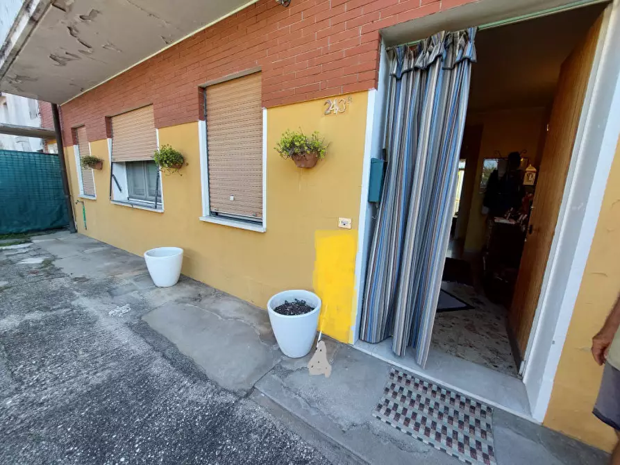 Immagine 2 di Appartamento in vendita  a Badia Polesine