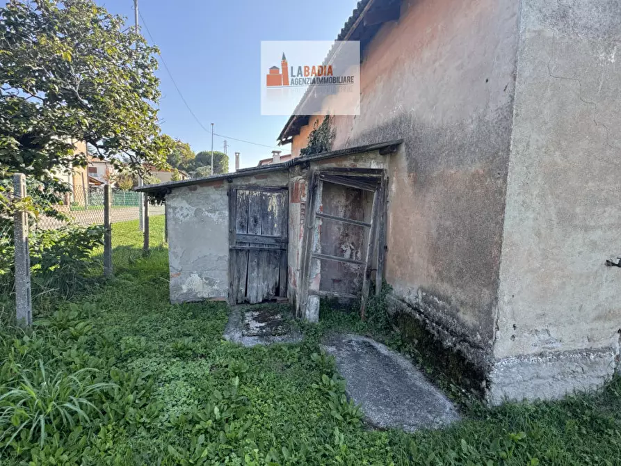 Immagine 25 di Casa indipendente in vendita  in Via Raffaello Sanzio 34 a Trecenta