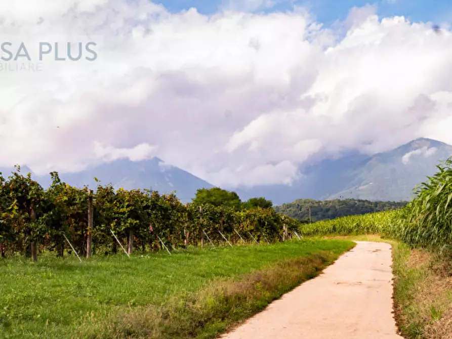 Immagine 45 di Rustico / casale in vendita  in VIA FARRA 31/A a Pieve Del Grappa