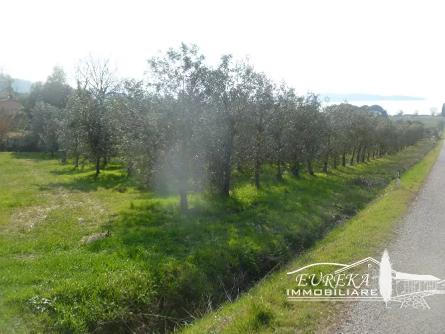 Immagine 1 di Terreno in vendita  in strada della rocca a Magione