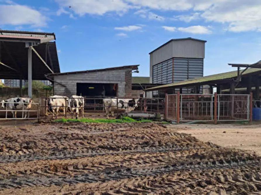 Immagine 1 di Rustico / casale in vendita  in Via Cascinino a Tromello