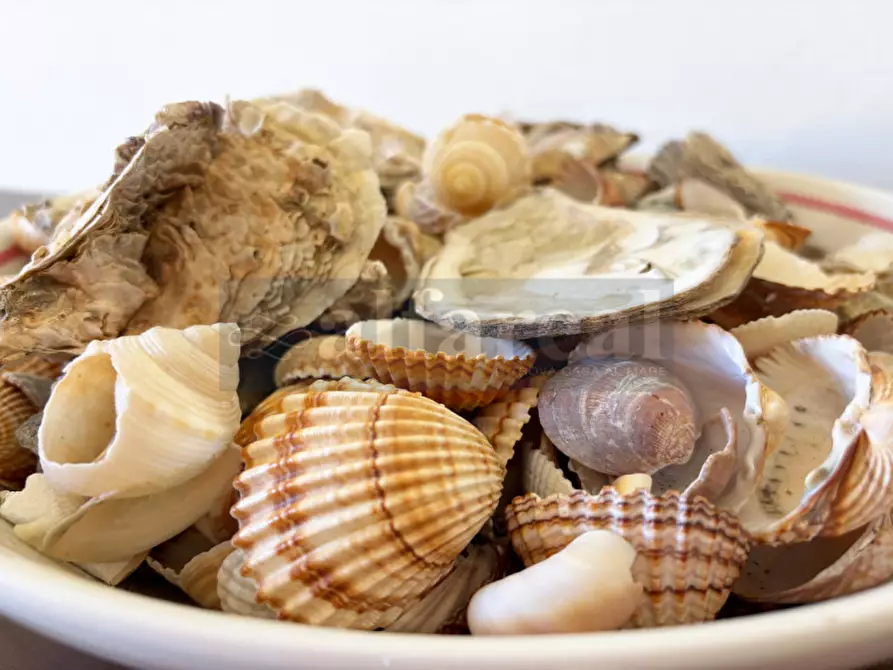 Immagine 4 di Appartamento in vendita  a Castiglione Della Pescaia