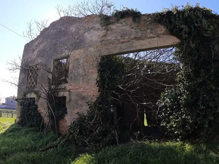 Immagine 8 di Casa indipendente in vendita  in Via bresparola 12 a Polesella