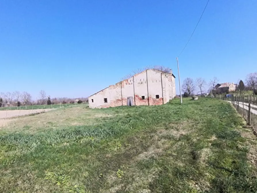 Immagine 11 di Casa indipendente in vendita  in Via bresparola 12 a Polesella