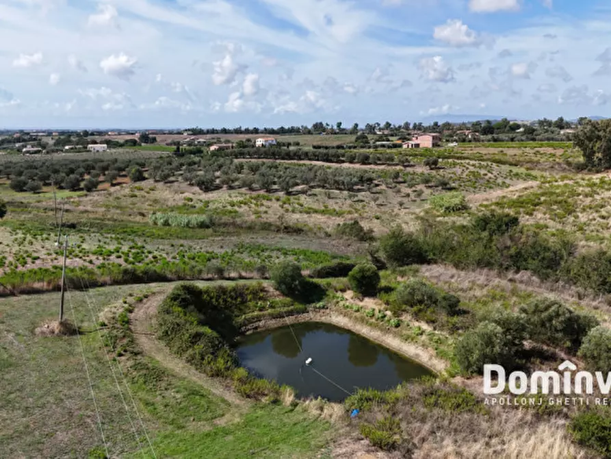Immagine 31 di Rustico / casale in vendita  in Strada dell'Abbadia a Capalbio