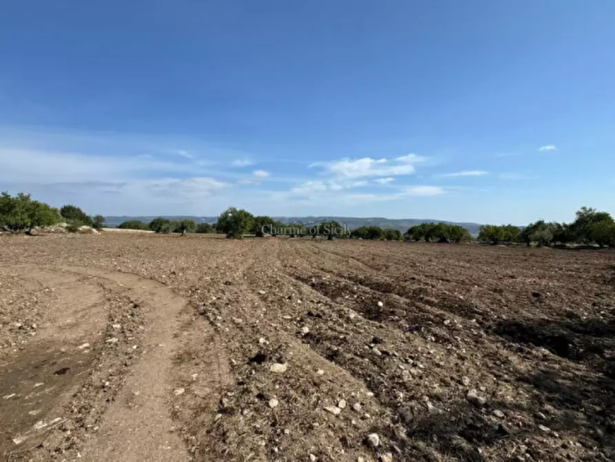 Immagine 19 di Casa indipendente in vendita  a Modica