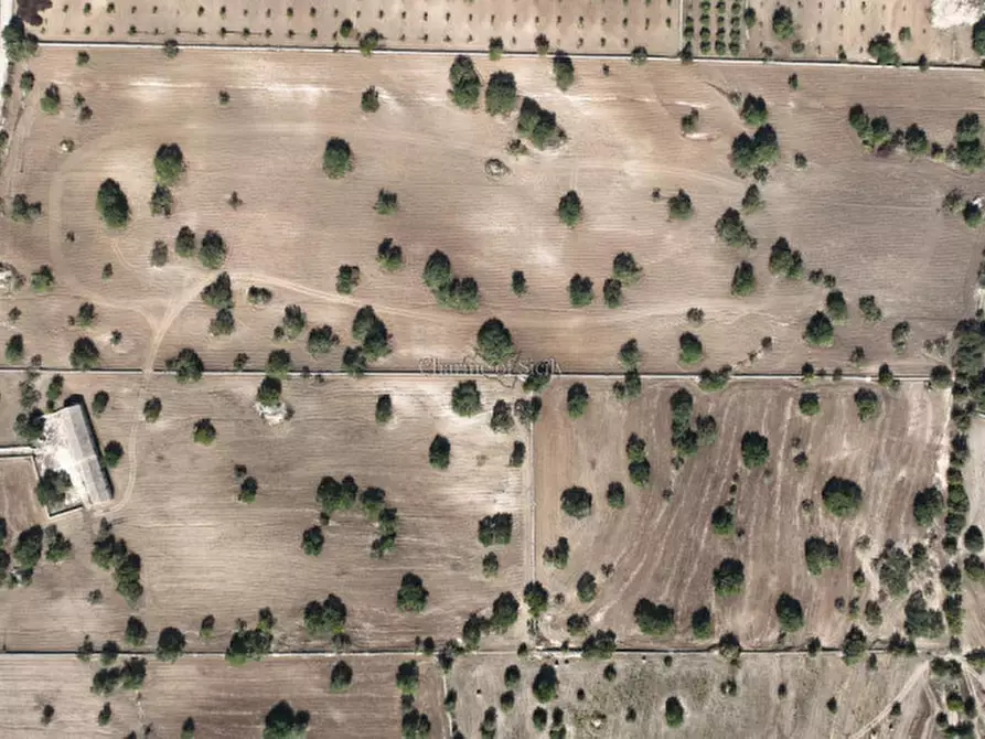 Immagine 47 di Casa indipendente in vendita  a Modica