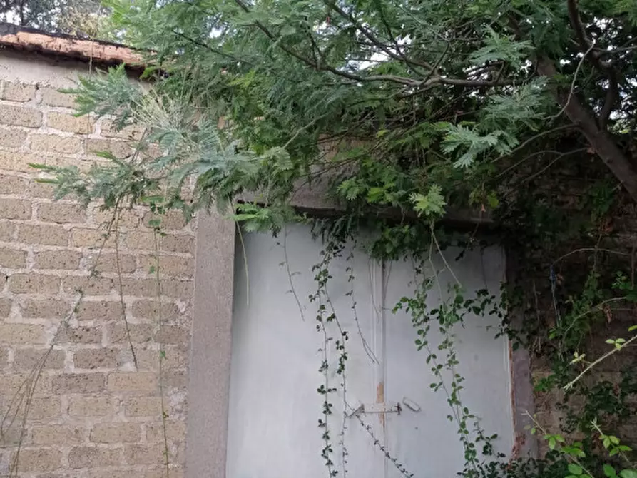 Immagine 1 di Terreno in vendita  in loc.tà tre fogliette 22 a Palombara Sabina