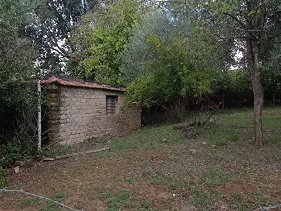 Immagine 2 di Terreno in vendita  in loc.tà tre fogliette 22 a Palombara Sabina