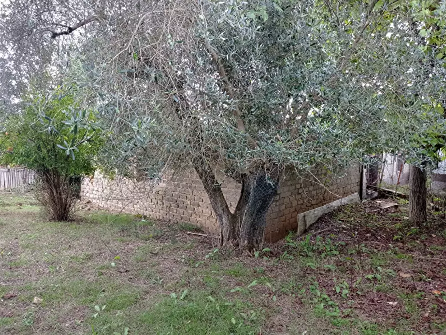 Immagine 3 di Terreno in vendita  in loc.tà tre fogliette 22 a Palombara Sabina