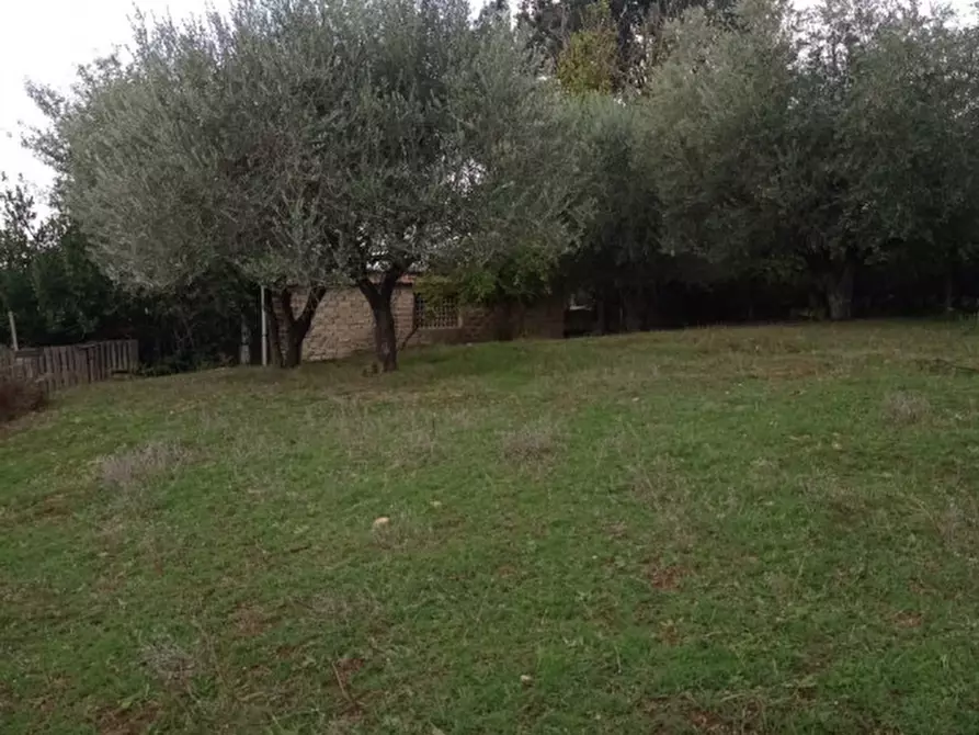 Immagine 4 di Terreno in vendita  in loc.tà tre fogliette 22 a Palombara Sabina
