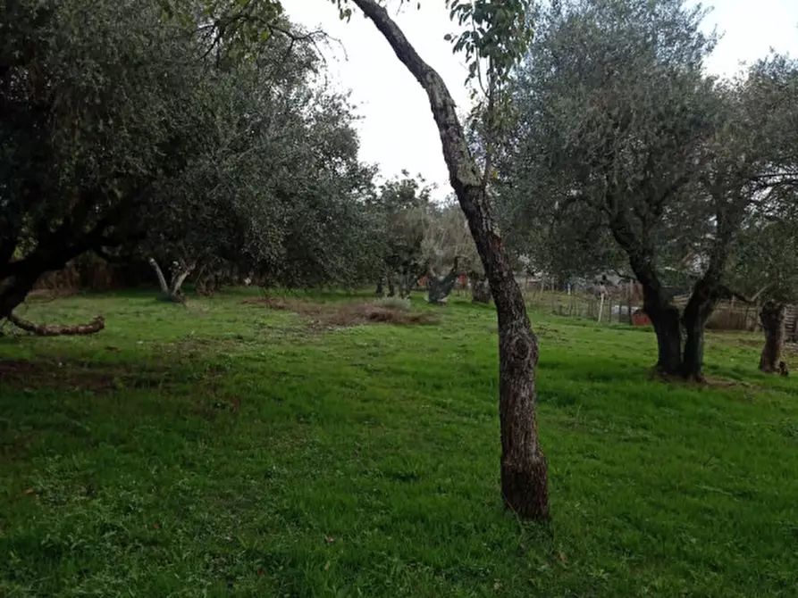 Immagine 7 di Terreno in vendita  in loc.tà tre fogliette 22 a Palombara Sabina