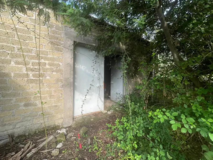 Immagine 17 di Terreno in vendita  in loc.tà tre fogliette 22 a Palombara Sabina