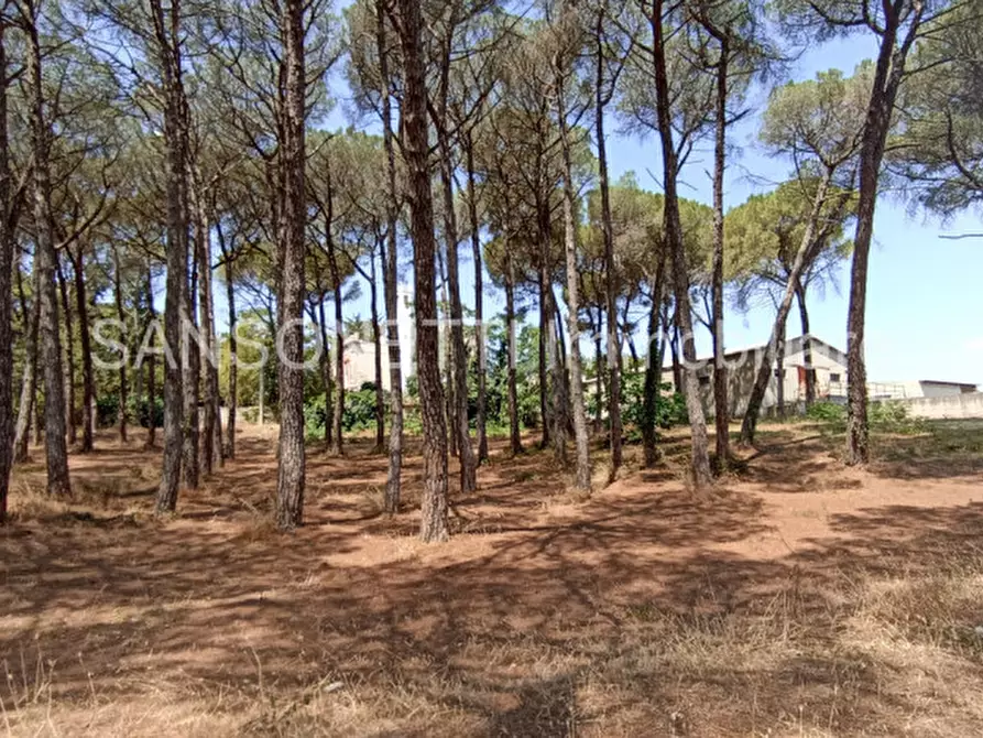 Immagine 28 di Villa in vendita  in NOCIN a Noci