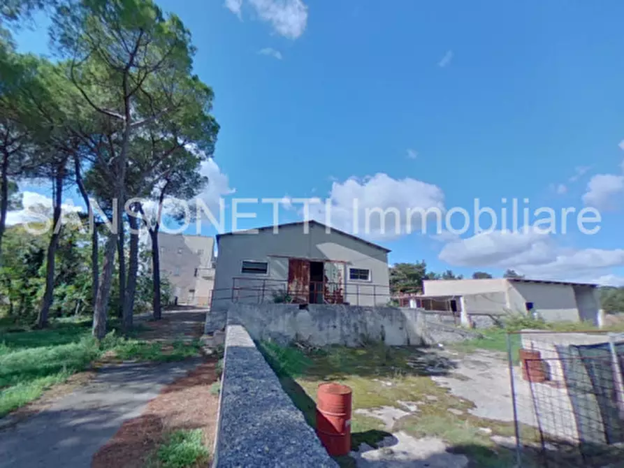 Immagine 80 di Villa in vendita  in NOCIN a Noci