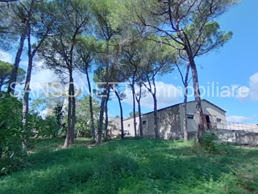 Immagine 81 di Villa in vendita  in NOCIN a Noci