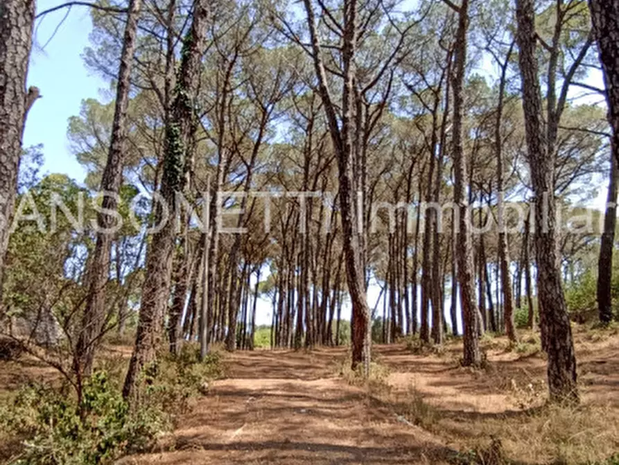 Immagine 100 di Villa in vendita  in NOCIN a Noci