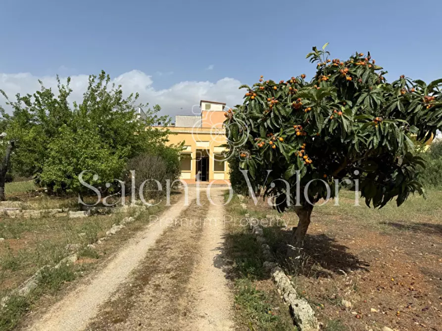 Immagine 27 di Villa in vendita  in Via Provinciale Matino 53 a Parabita