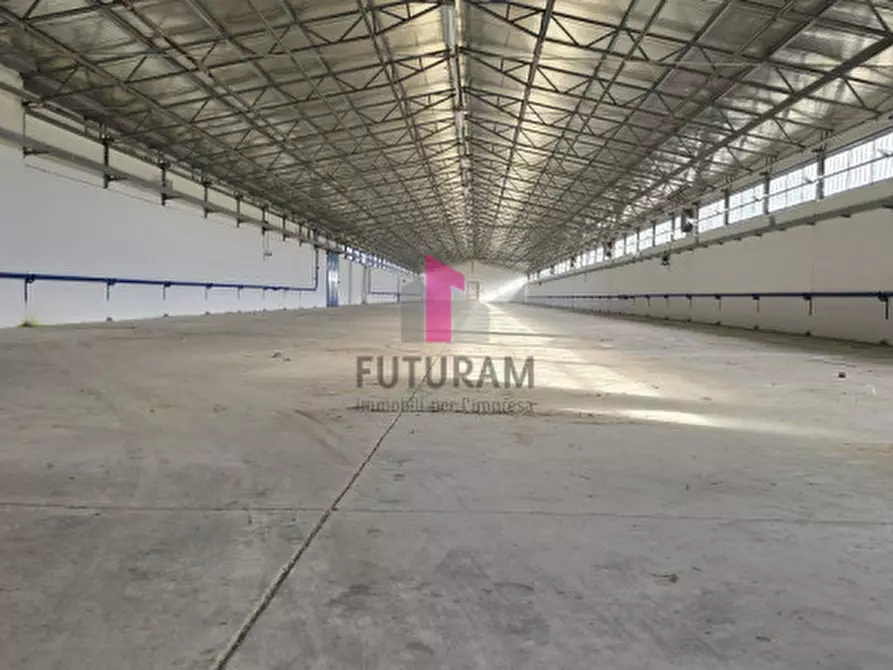 Immagine 2 di Capannone industriale in affitto  in via GIUSEPPE VERDI a Villaga