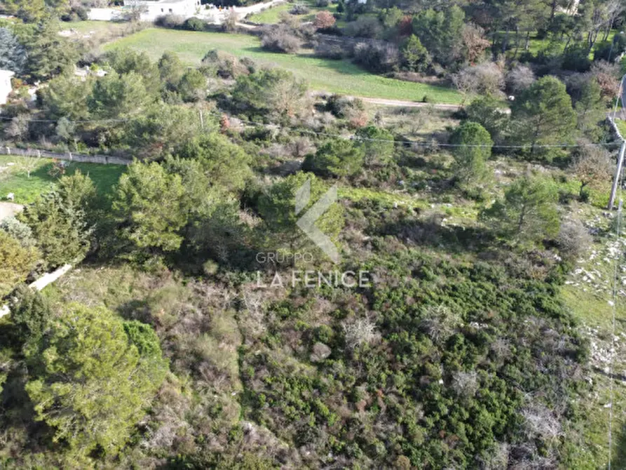 Immagine 2 di Terreno in vendita  in strada provinciale 69 a Martina Franca