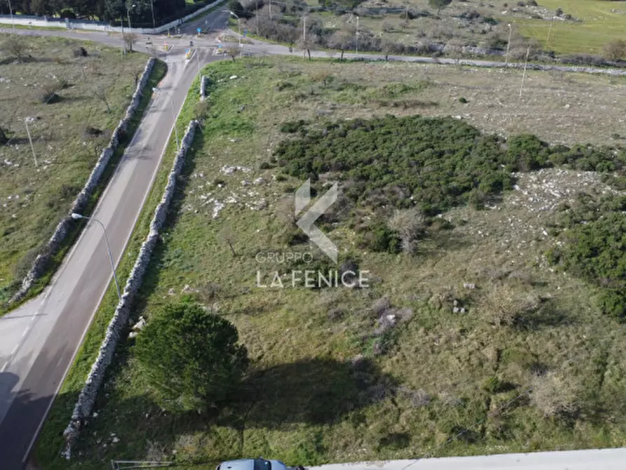 Immagine 3 di Terreno in vendita  in strada provinciale 69 a Martina Franca
