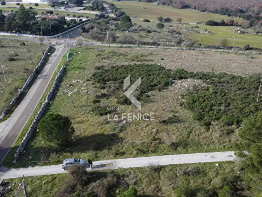 Immagine 4 di Terreno in vendita  in strada provinciale 69 a Martina Franca