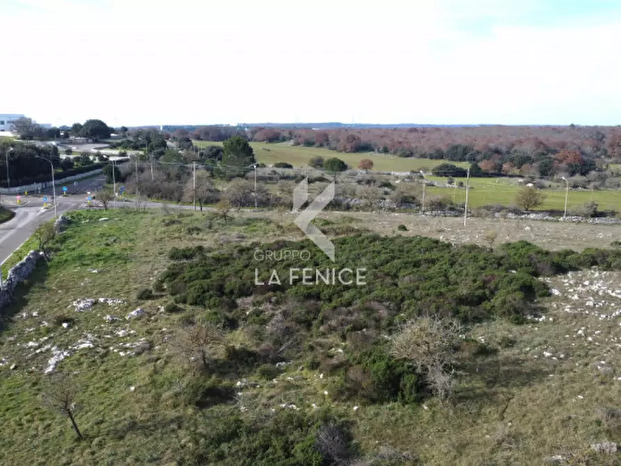 Immagine 15 di Terreno in vendita  in strada provinciale 69 a Martina Franca