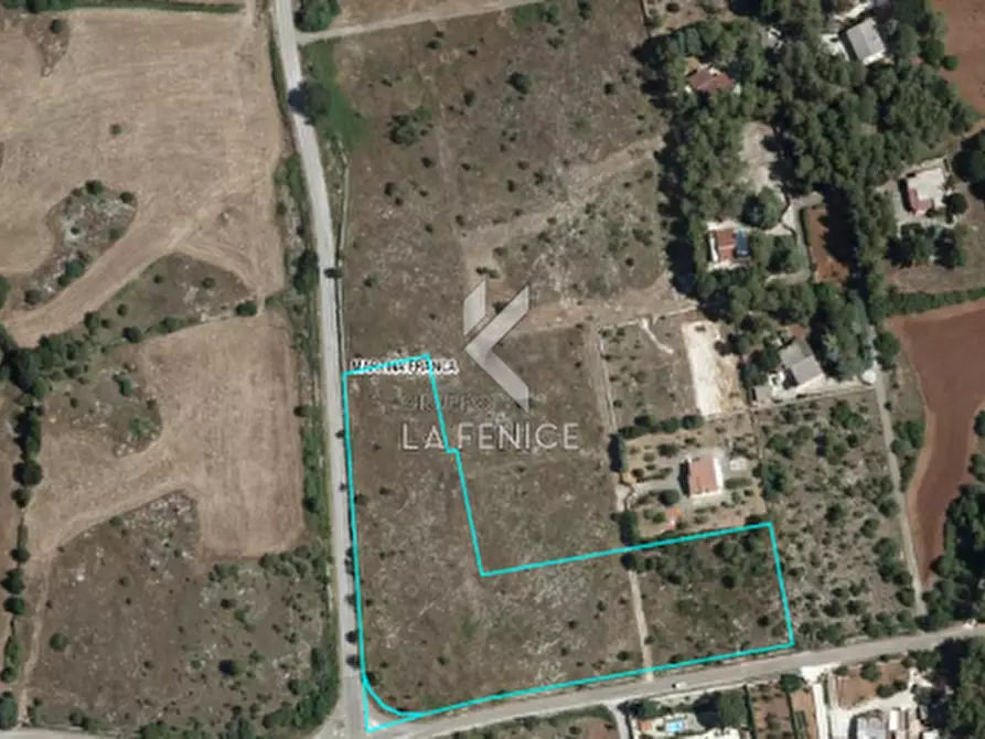 Immagine 16 di Terreno in vendita  in strada provinciale 69 a Martina Franca