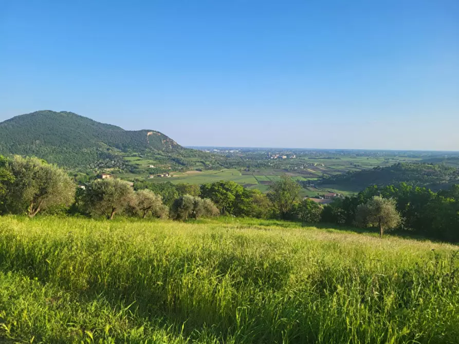 Immagine 1 di Terreno in affitto  a Arqua' Petrarca