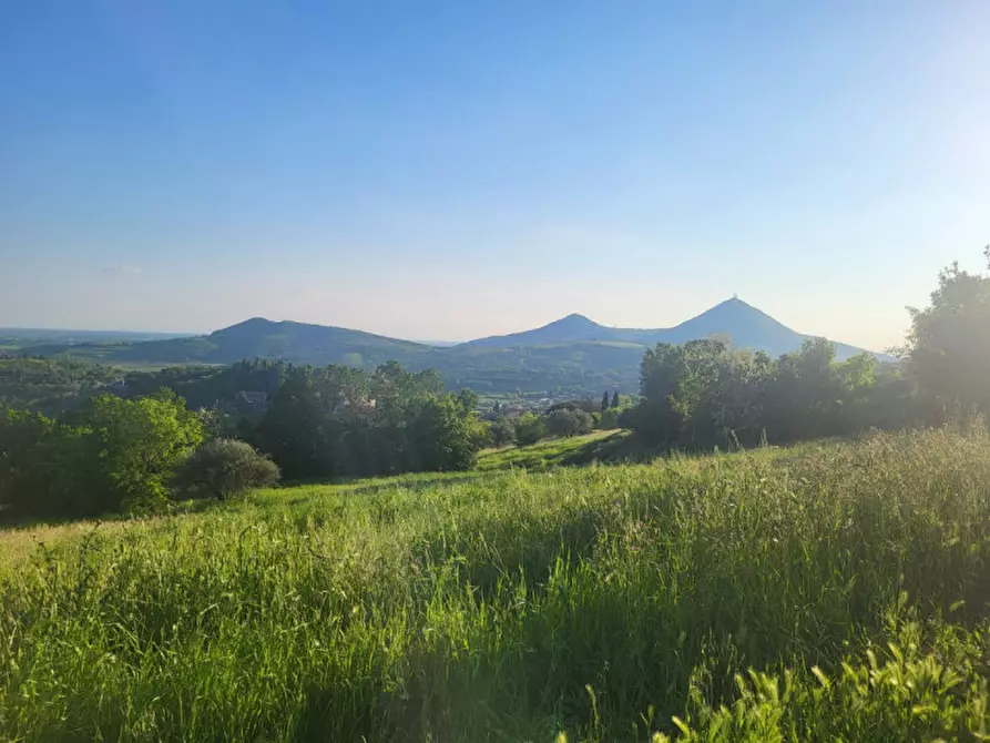 Immagine 2 di Terreno in affitto  a Arqua' Petrarca