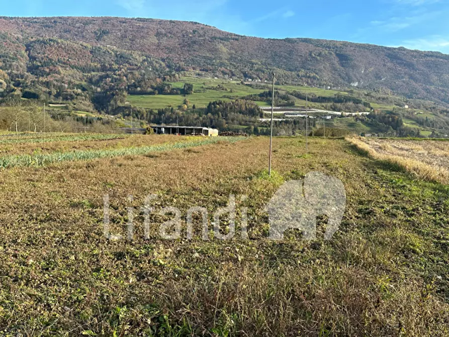 Immagine 7 di Terreno in vendita  a Comano Terme