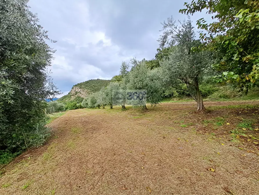 Immagine 30 di Villa in vendita  in Via XXV Aprile a Provaglio D'iseo