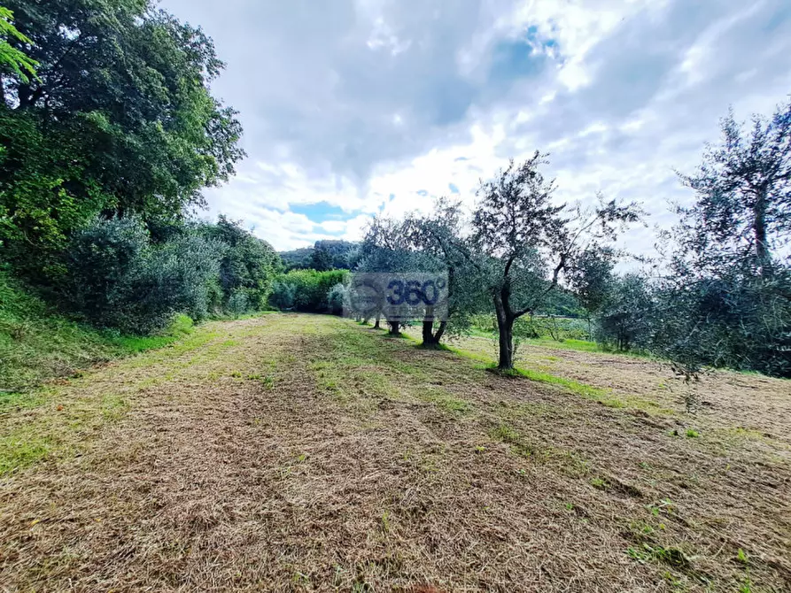 Immagine 31 di Villa in vendita  in Via XXV Aprile a Provaglio D'iseo