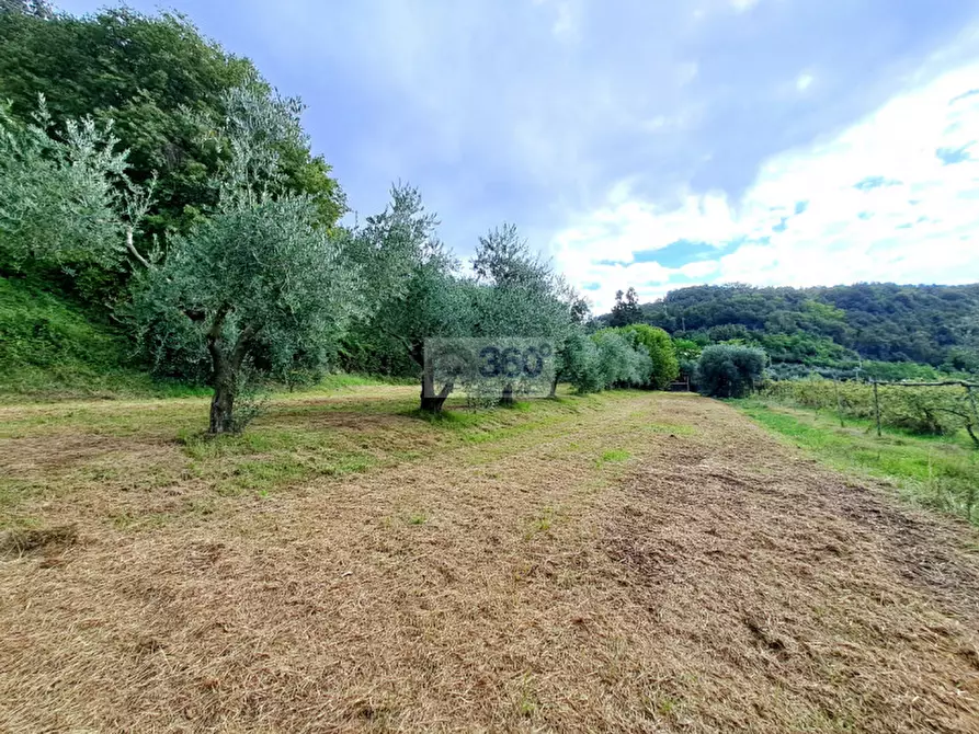 Immagine 32 di Villa in vendita  in Via XXV Aprile a Provaglio D'iseo