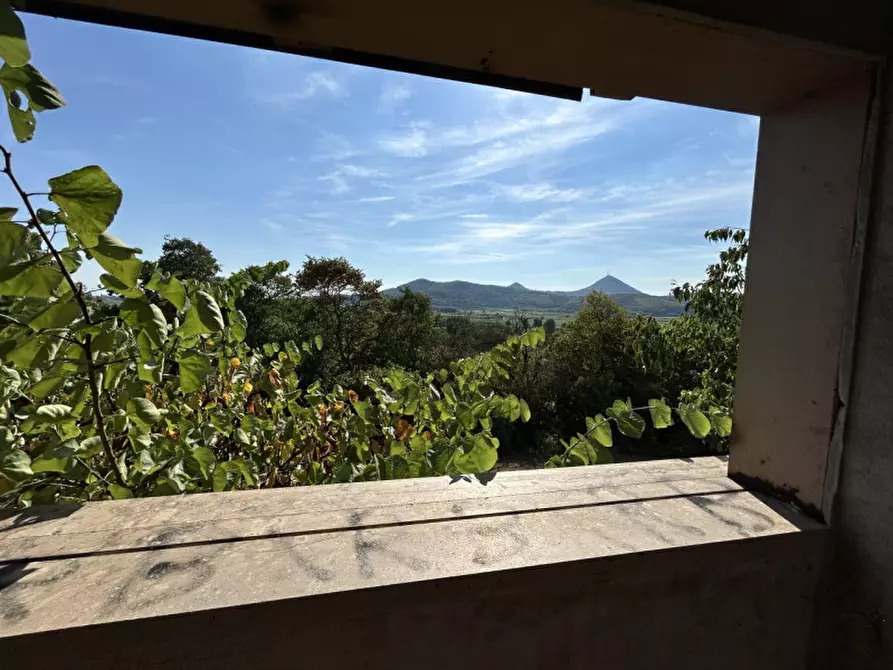 Immagine 29 di Rustico / casale in vendita  in VIA PALAZZINA a Arqua' Petrarca