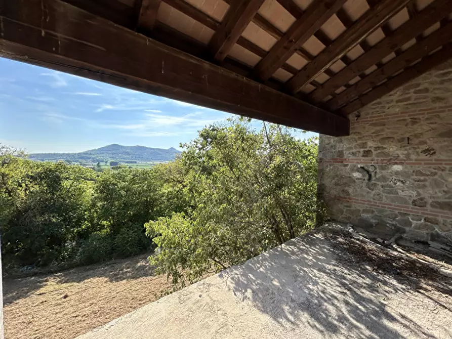 Immagine 30 di Rustico / casale in vendita  in VIA PALAZZINA a Arqua' Petrarca