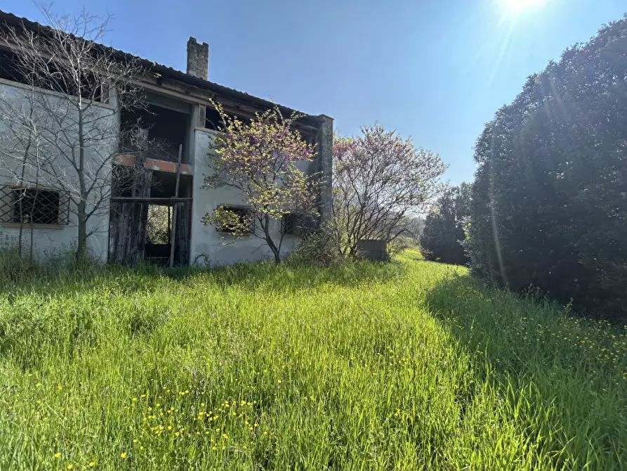 Immagine 31 di Rustico / casale in vendita  in VIA PALAZZINA a Arqua' Petrarca