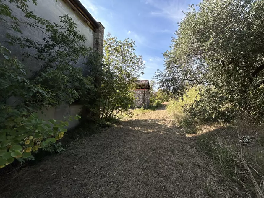 Immagine 34 di Rustico / casale in vendita  in VIA PALAZZINA a Arqua' Petrarca