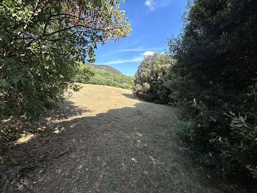 Immagine 37 di Rustico / casale in vendita  in VIA PALAZZINA a Arqua' Petrarca