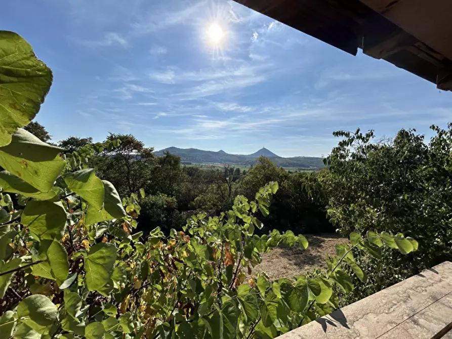 Immagine 39 di Rustico / casale in vendita  in VIA PALAZZINA a Arqua' Petrarca