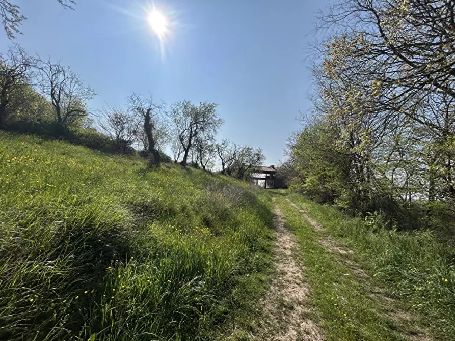 Immagine 40 di Rustico / casale in vendita  in VIA PALAZZINA a Arqua' Petrarca