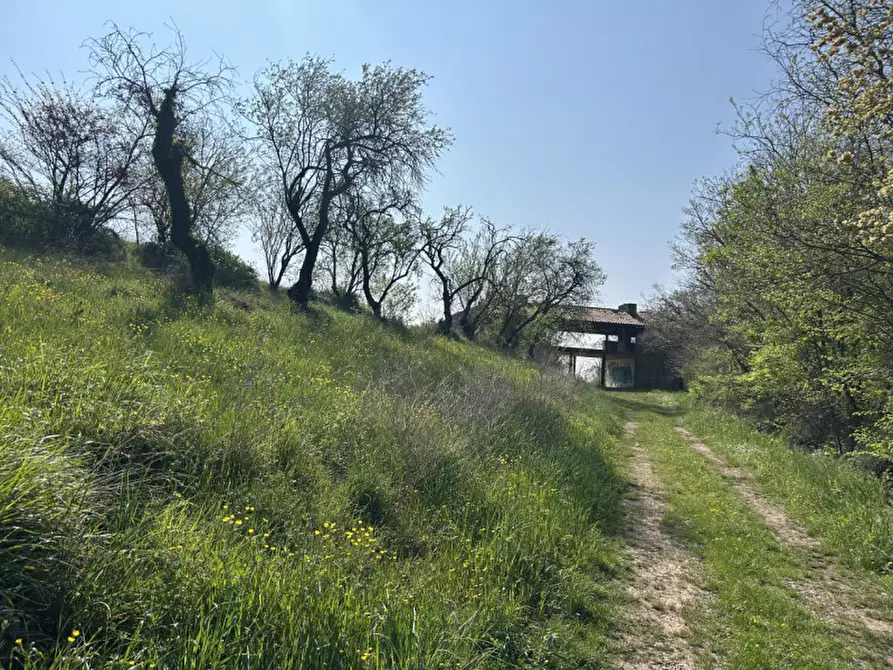 Immagine 41 di Rustico / casale in vendita  in VIA PALAZZINA a Arqua' Petrarca