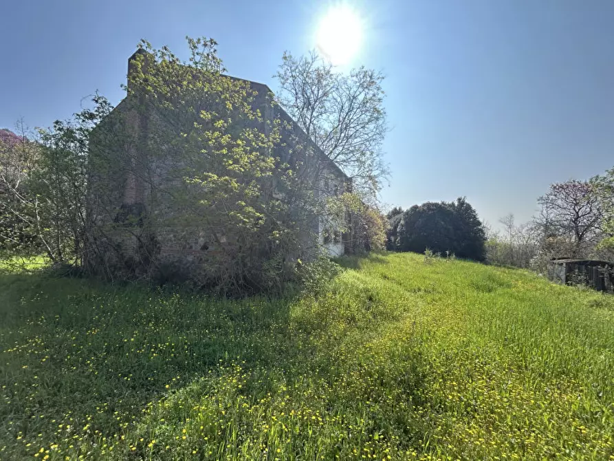 Immagine 42 di Rustico / casale in vendita  in VIA PALAZZINA a Arqua' Petrarca