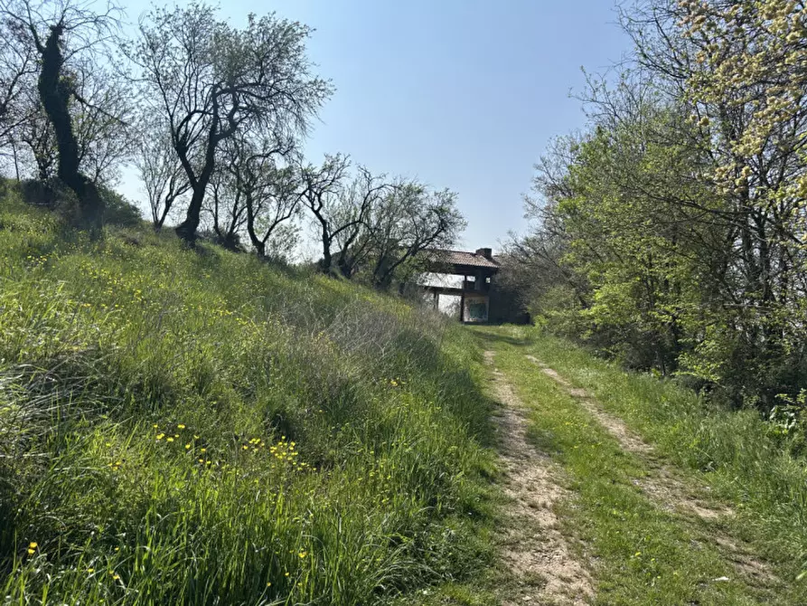 Immagine 43 di Rustico / casale in vendita  in VIA PALAZZINA a Arqua' Petrarca