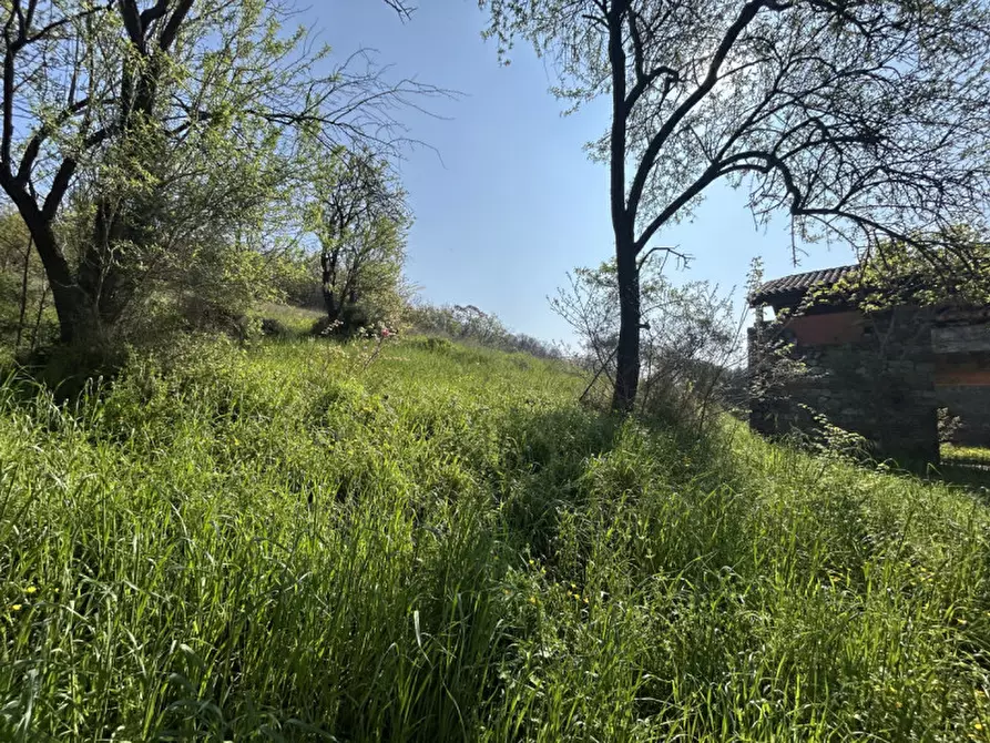 Immagine 44 di Rustico / casale in vendita  in VIA PALAZZINA a Arqua' Petrarca