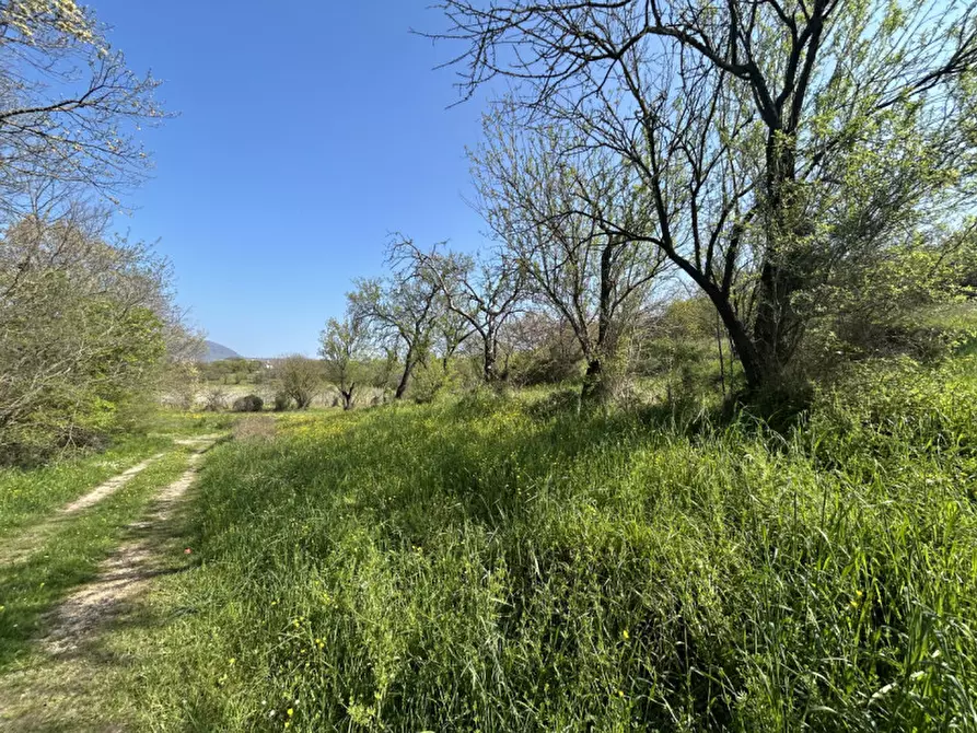 Immagine 45 di Rustico / casale in vendita  in VIA PALAZZINA a Arqua' Petrarca