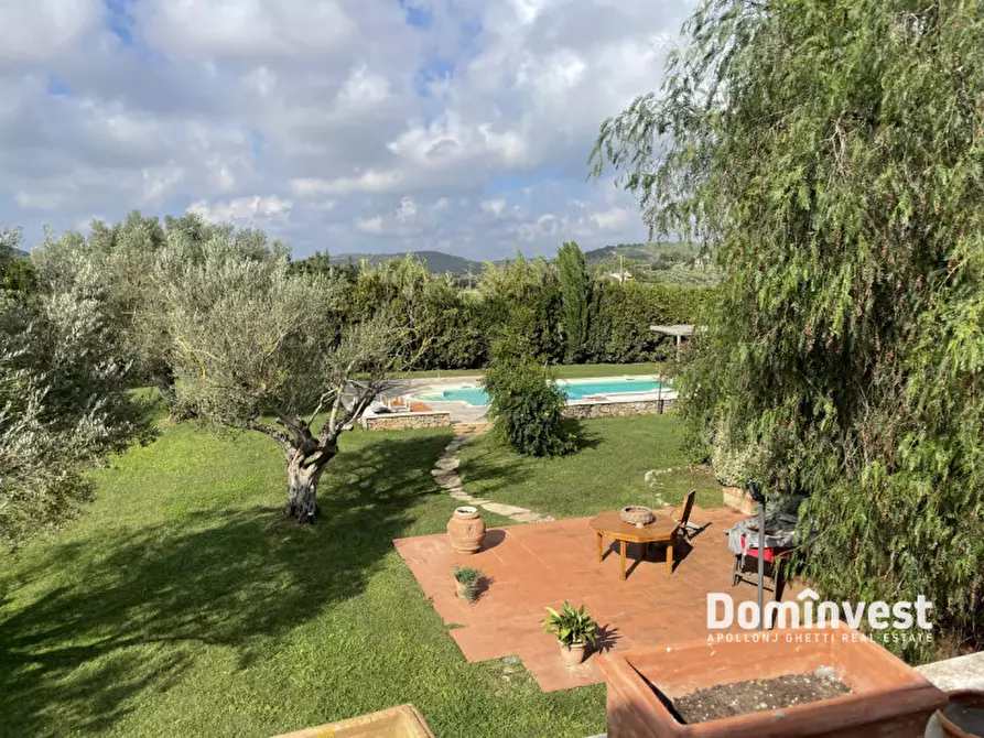 Immagine 15 di Rustico / casale in affitto  in strada del giardino a Orbetello