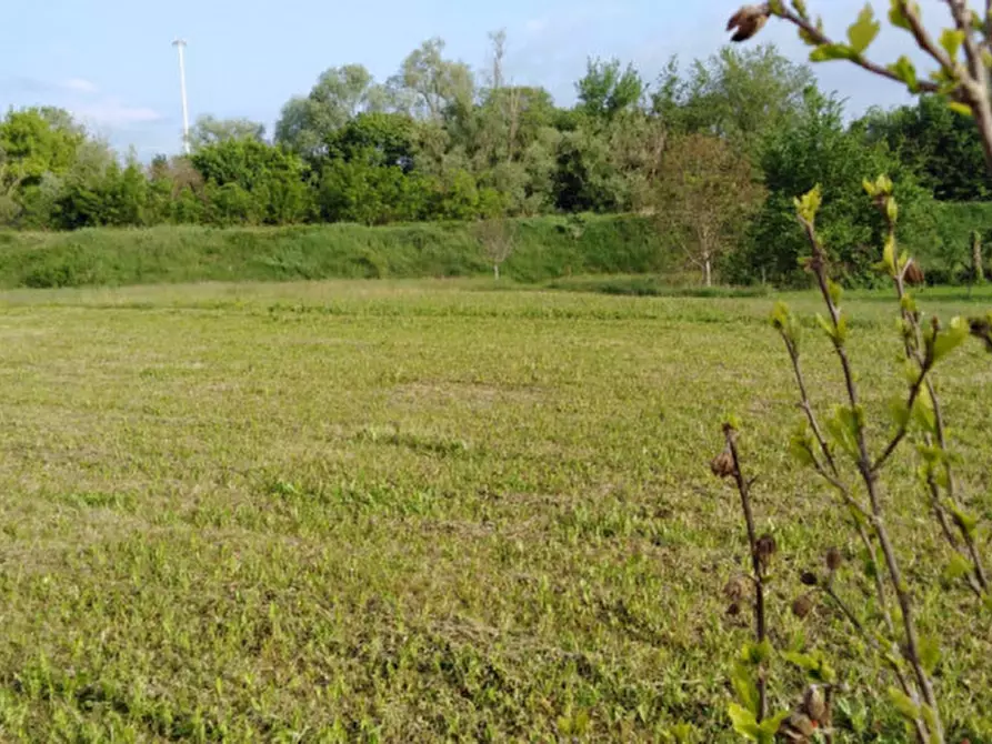 Immagine 1 di Terreno in vendita  in Via Monte Grappa a Altavilla Vicentina