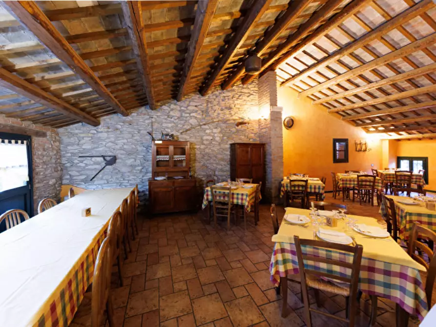 Immagine 7 di Rustico / casale in vendita  in VIA CROCI a Baone